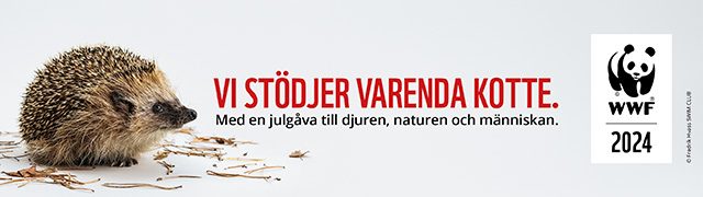 WWF